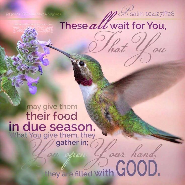 Psalm 104 | Praise to the Sovereign Lord | Upward Ever...