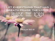 Psalm 150 Let All Things Praise The Lord Upward Ever Psalm 150 Let All Things Praise The Lord Upward Ever